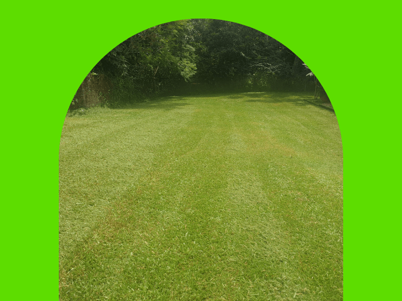 Welcome to Murphy’s Lawn Care&nbsp;FNQ!