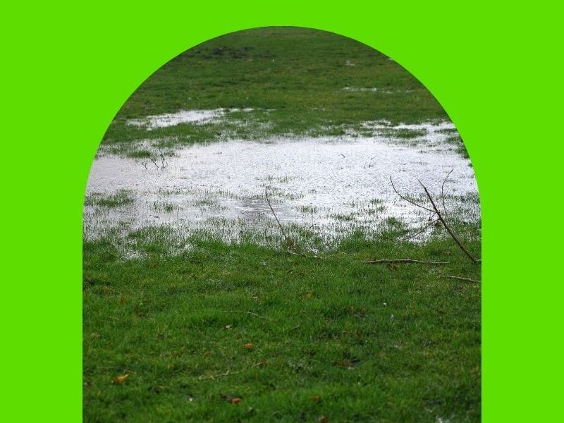 Prepare Your Lawn For Cooler Months&nbsp;Ahead