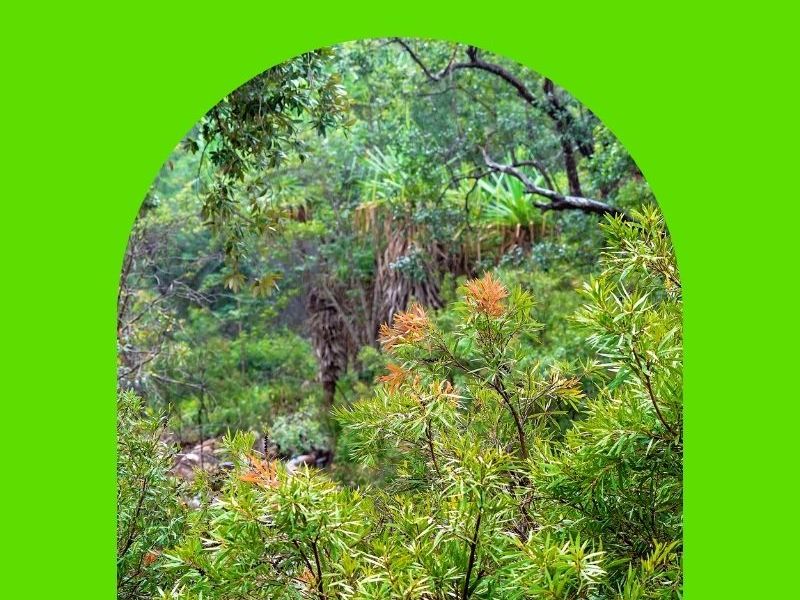 Embrace the Australian Autumn: Five Delightful Garden Activities to&nbsp;Enjoy