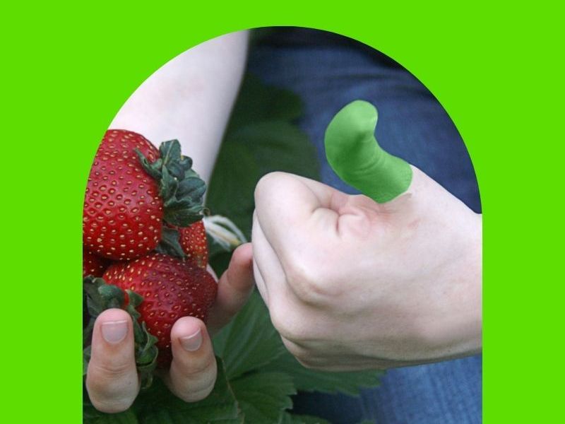 12 Clever Plant Hacks to Cultivate Your Green&nbsp;Thumb