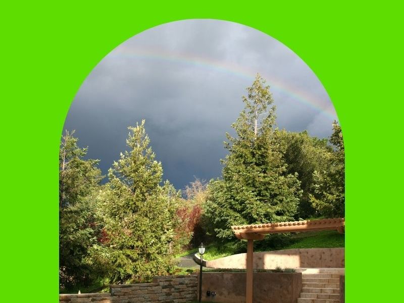 How to Storm-Proof Your Backyard and Make It&nbsp;Holiday-Ready